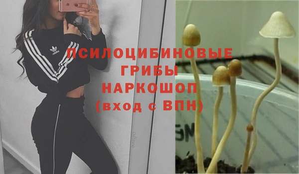 первитин Алексин