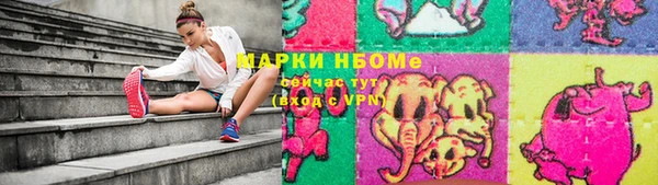 мдпв Абаза