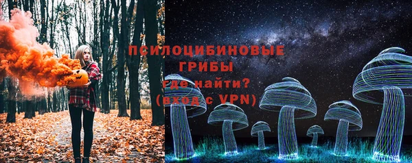 прущие грибы Алексеевка
