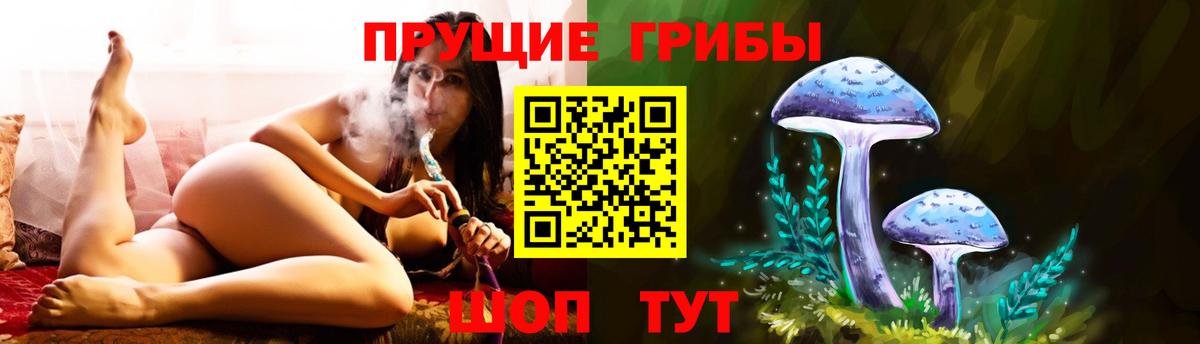 Псилоцибиновые грибы Psilocybine cubensis Губкин